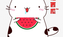 带你吃瓜爆料表情包图片,带你一图览尽“带你吃瓜爆料”表情包背后的趣味故事